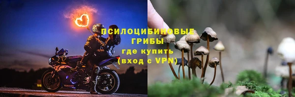 дурь Волоколамск