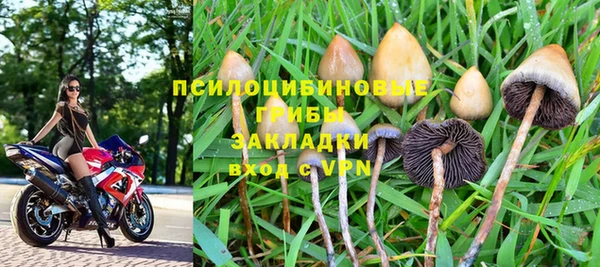 дурь Волоколамск